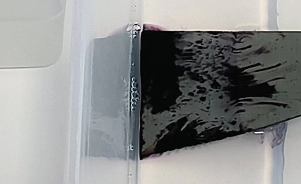 2022101216655655913501.jpg 2022101216655655913501.jpg